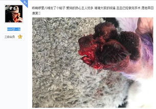 脚真菌感染注意事项