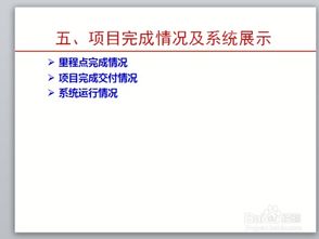 软件项目验收注意事项