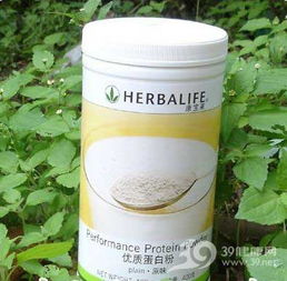 蛋白质粉适应症及注意事项