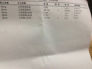打乙肝抗体前注意事项