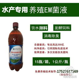 注意事项,em