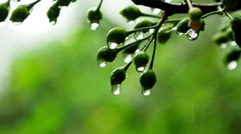 小区梅雨季节注意事项