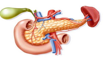 胰腺,肿瘤,注意事项
