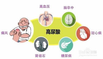注意事项,饮食,高脂血症