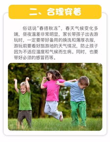 春游注意事项500字