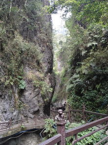峨眉山金顶旅游注意事项,冬季峨眉山旅游注意事项,峨眉山游玩注意事项
