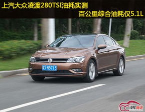 停车,注意事项,凌渡,dsg
