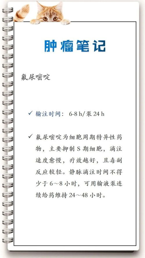 注意事项,丙泊酚输注