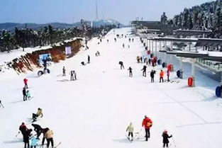 宁波商量岗滑雪注意事项,滑雪注意事项和要领,新手滑雪注意事项