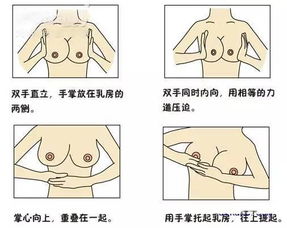 胸部,注意事项