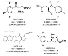 抑制剂,注意事项,dpp4