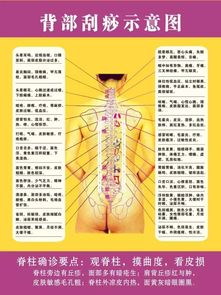 背部刮痧后的注意事项和禁忌,背部刮痧注意事项和禁忌症,做完背部刮痧注意事项