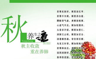 秋季养生保健常识及注意事项