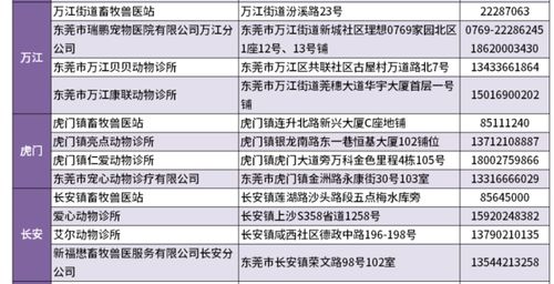 犬猫免疫注意事项