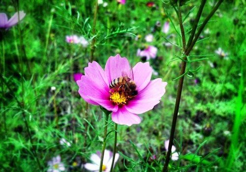 我是来打酱油的