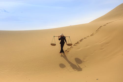 我的四个姐姐国色天香现代小说许言唐雨许琳在线阅读