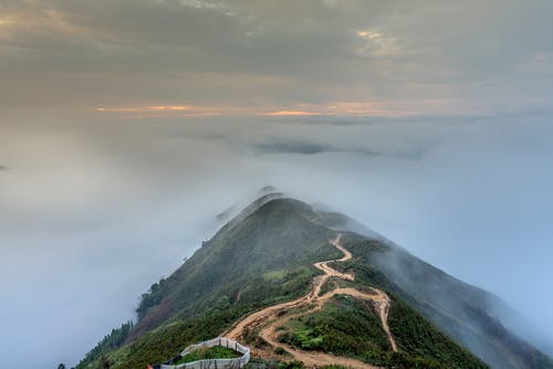 【精华】一年级日记模板汇总10篇