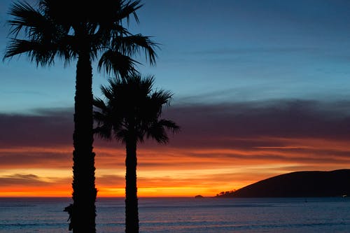 爽文道法图小说叶辰沈秋全文阅读