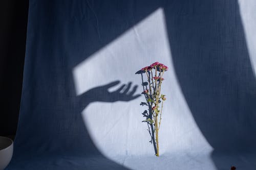 父母爱情经典台词