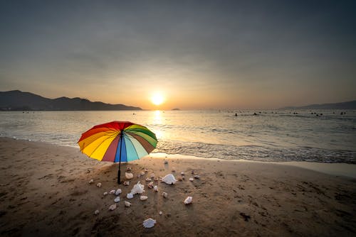 短篇小可爱别想逃小说陈桉桉夏霁全篇阅读