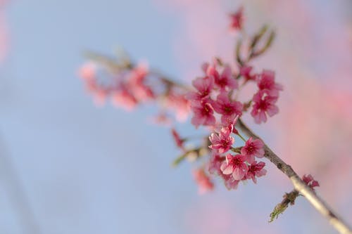 祝福朋友结婚祝福语