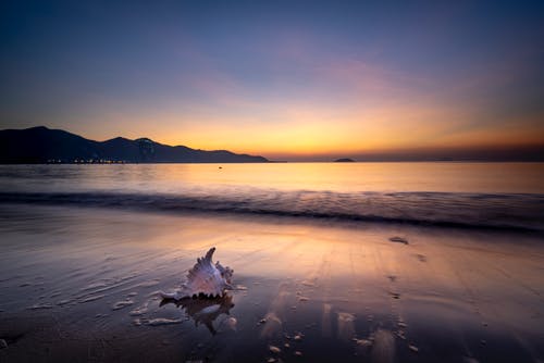 夏目的美丽日记交易吧
