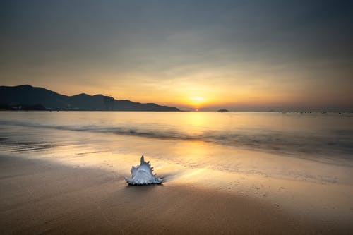 重阳节诗歌