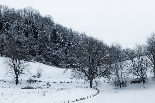 五年级书信作文写给哥哥姐姐们的信