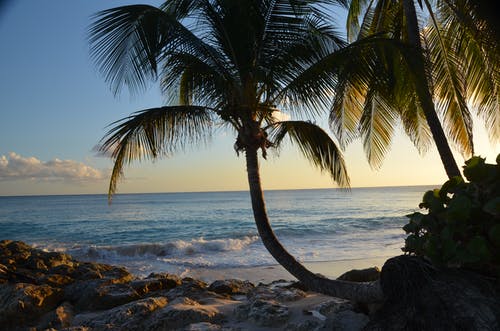 五年级叙事作文有个妹妹真麻烦 五年级叙事作文有个妹妹真麻烦