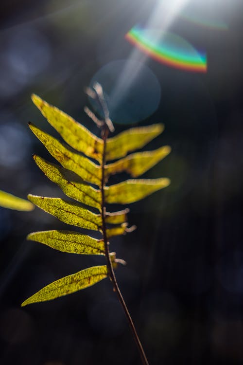 简短教师节祝福语
