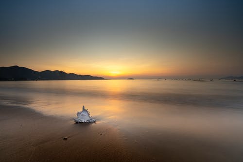 五年级写人作文我的同桌