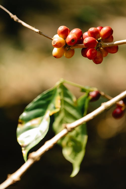 《教师节录像》观后感