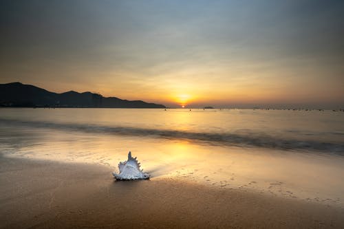 最全生死狙击经典台词