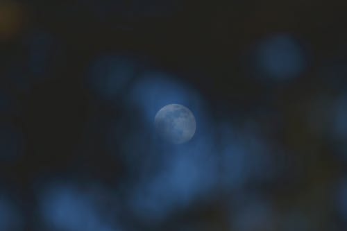优美的大暑祝福语摘录81句