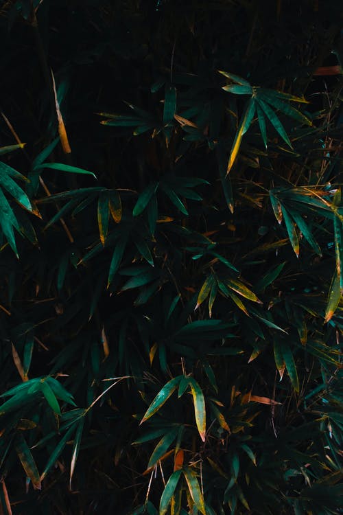 五年级读后感自传的读后感8