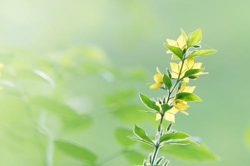 废墟和荒原上的人们小说主角叶修章节阅读