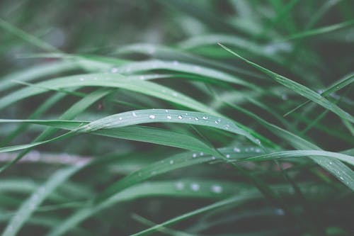 星际穿越的经典台词盘点