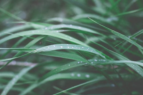 逆袭玩世医狂小说陈二蛋杨雪柳无广告阅读