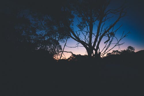 破产姐妹经典台词英文