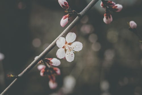 心情随笔优秀作文