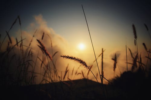 相爱经典语录感悟深刻