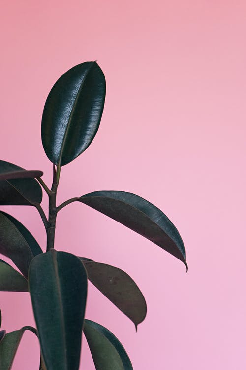 陈亮《念奴娇·登多景楼》译文及赏析 陈亮《念奴娇·登多景楼》译文及赏析