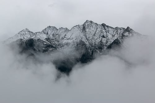 重生血狼传奇小说程宇何雨晴无广告阅读