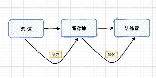从0到1裂变解析，真金白银烧出来的故事与经验。