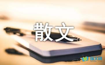 我的梦-随笔散文