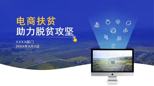 电商扶贫总结