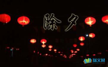难忘的除夕夜随笔作文