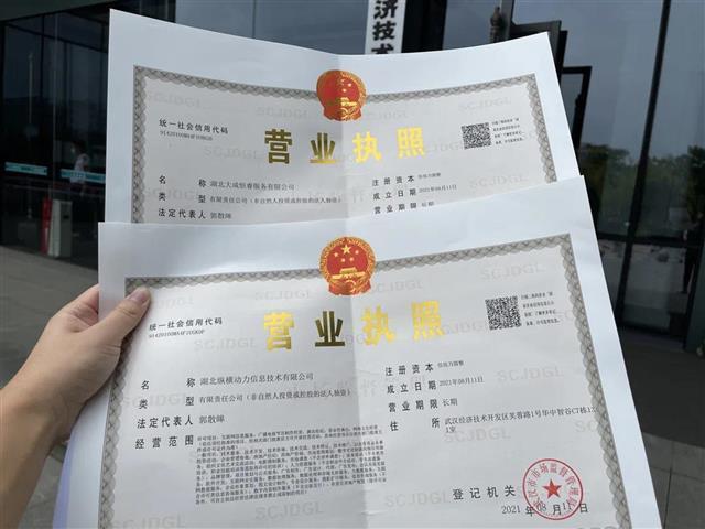 我们公司想在营业执照里面加上“电子商务”这一条需要公司有什么样的资质？