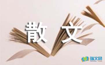 我的北大之梦随笔散文