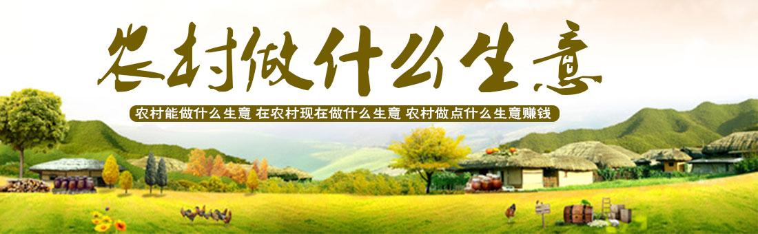 现在农村自主创业做什么好？